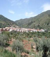 أفضل العروض ل  أولولا ديل رايو